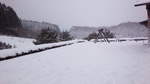 IMG_20150311_091349.jpg